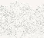 Carta da parati panoramica Valzer di fiori in bianco e grigio