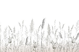 Carta da parati poetica della pampa