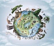 Carta da parati per bambini pianeta animali