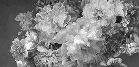 Carta da parati con fiori di peonia in bianco e nero