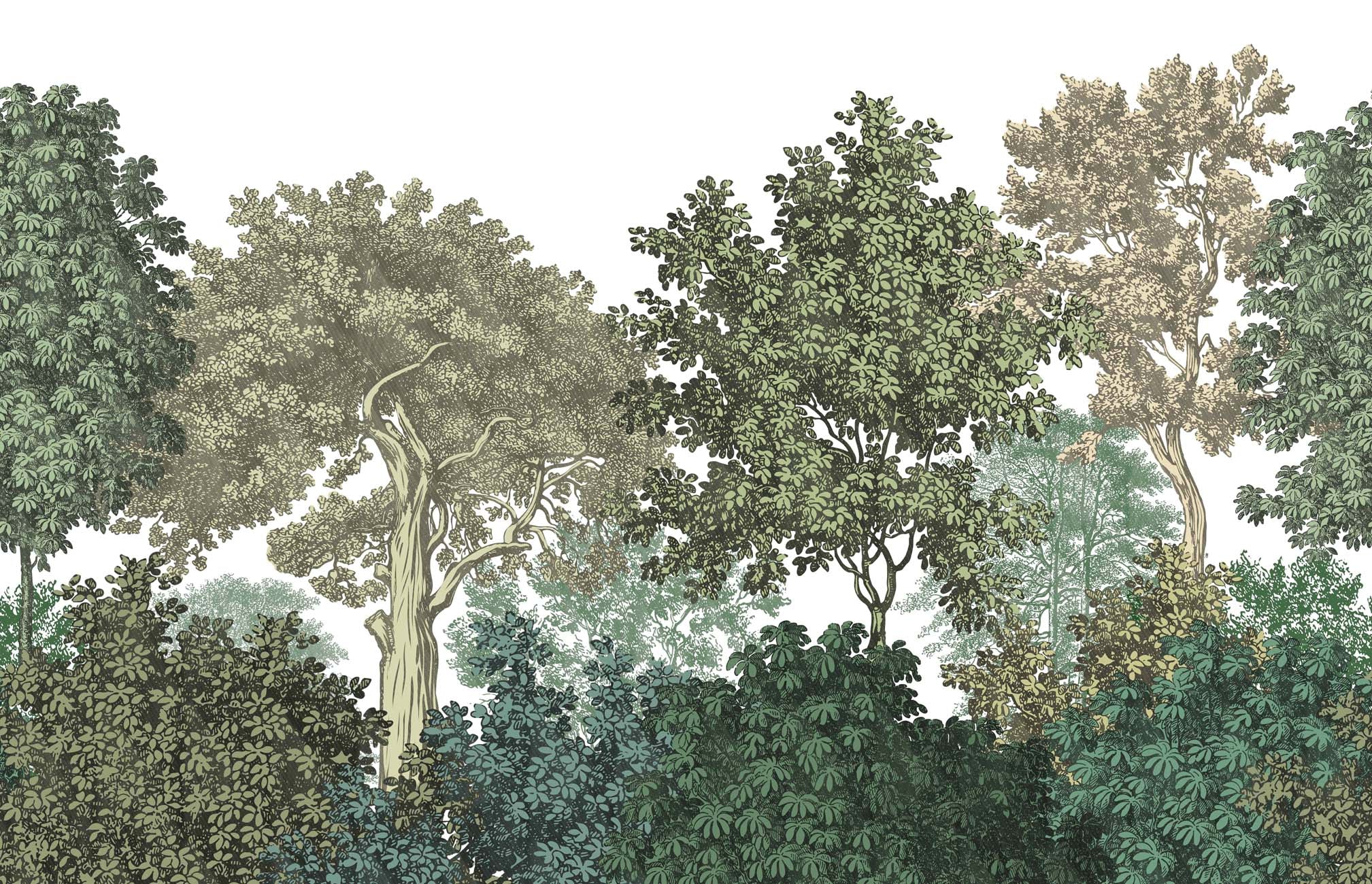 Papier peint restaurant paysage forêt gravure, XXL, tendance