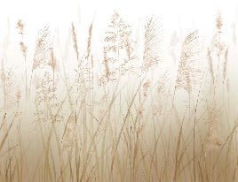 Carta da parati con fiori di campo di grano