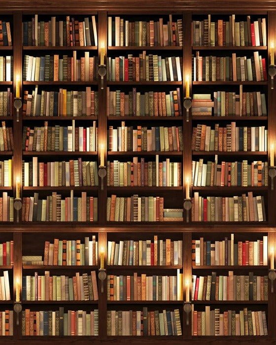 Carta da parati trompe l'oeil Authentique Bibliothèque