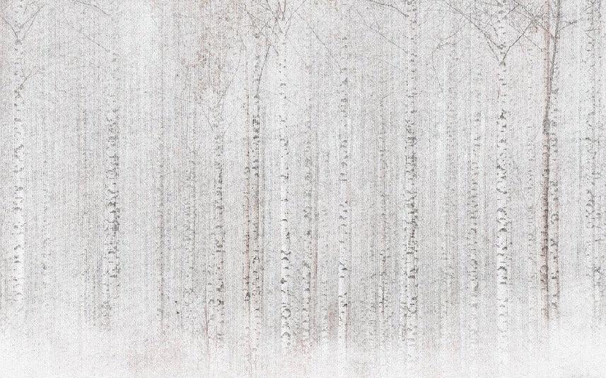 Avvolgente carta da parati della foresta di betulle