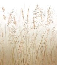 Carta da parati con fiori di campo di grano