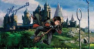 Sfondo panoramico della partita di quidditch di Harry Potter