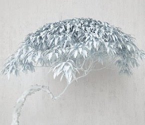 Papier peint panoramique  Arbre Nordic Style, XXL, tendance