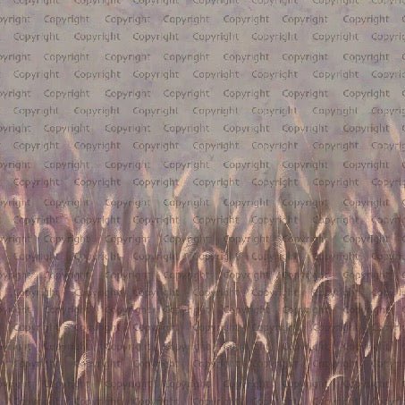 Carta da parati panoramica rosa con erba selvatica