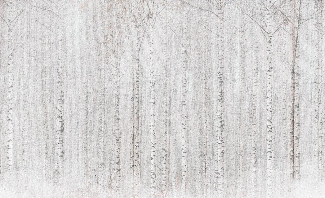 Avvolgente carta da parati della foresta di betulle
