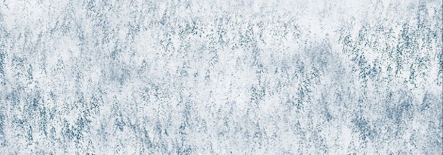 Carta da parati con design alpino Foresta nebbiosa