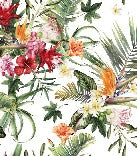 Papier peint tropical & Fleurs colorées