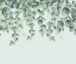 Carta da parati della natura della pianta di eucalipto