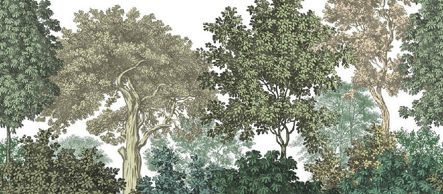 Papier peint restaurant paysage forêt gravure, XXL, tendance