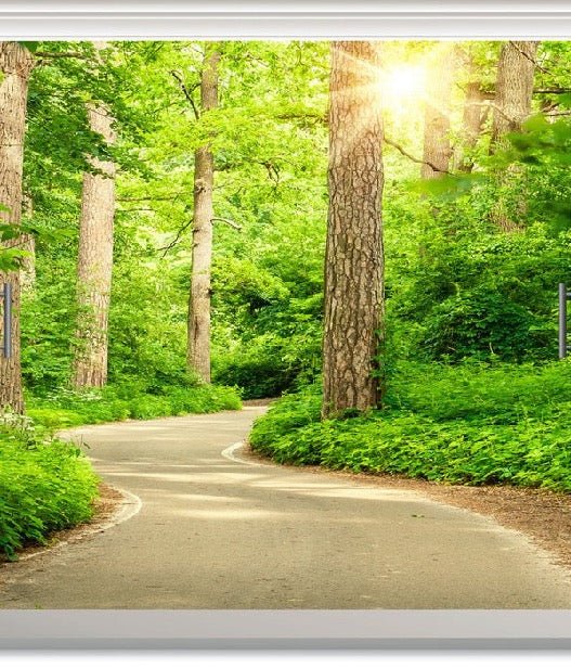 Carta da parati per il bagno Trompe l'oeil forest walk