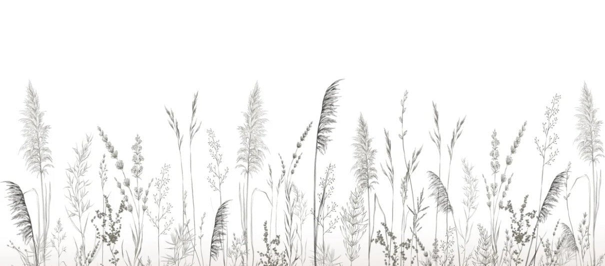 Papier peint poétique pampa, XXL, tendance