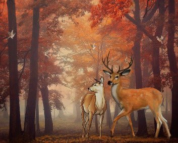Carta da parati Foresta d'autunno e cervi