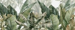 Carta da parati panoramica verde banana