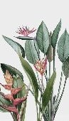 Carta da parati per ristorante con piante tropicali