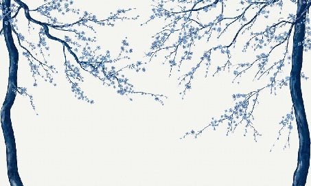 Carta da parati panoramica Sakura white flower