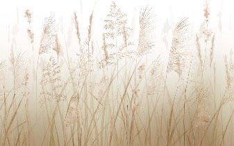 Carta da parati con fiori di campo di grano