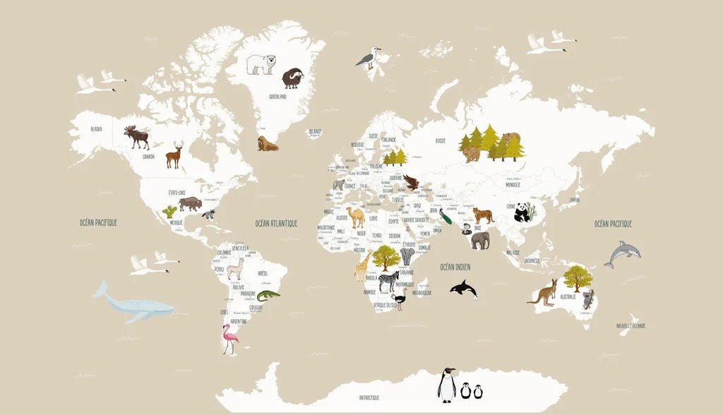 Carta da parati con mappamondo francese per bambini, beige