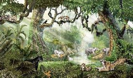 Carta da parati per bambini giungla segreta
