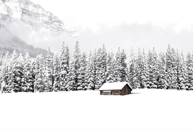 Carta da parati panoramica per chalet di montagna