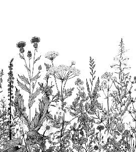 Carta da parati folk botanica in bianco e nero
