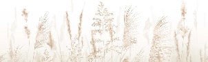 Carta da parati con fiori di campo di grano