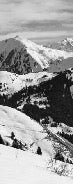 Carta da parati Aravis in bianco e nero