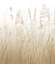 Carta da parati con fiori di campo di grano