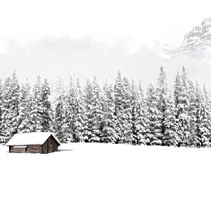 Papier peint panoramique chalet en montagne, XXL, tendance
