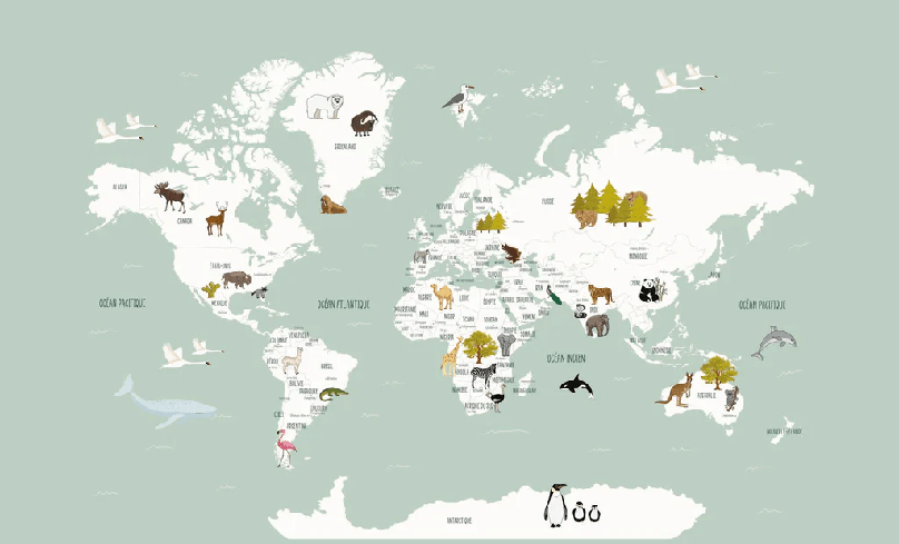 Carta da parati Mappa del mondo in francese per bambini verde