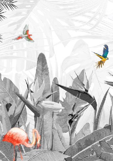 Papier peint noir et blanc oiseau du paradis - Muralconcept