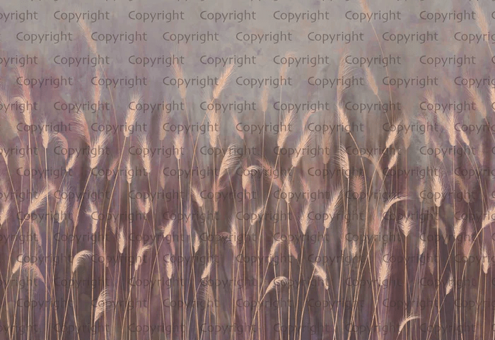 Papier peint panoramique herbes sauvages rose - Muralconcept