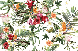 Papier peint tropical & Fleurs colorées - Muralconcept