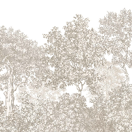 Papier peint paysage forêt gravure beige - Muralconcept