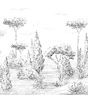 Papier peint panoramique forêt antique - Muralconcept