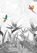 Papier peint noir et blanc oiseau du paradis - Muralconcept