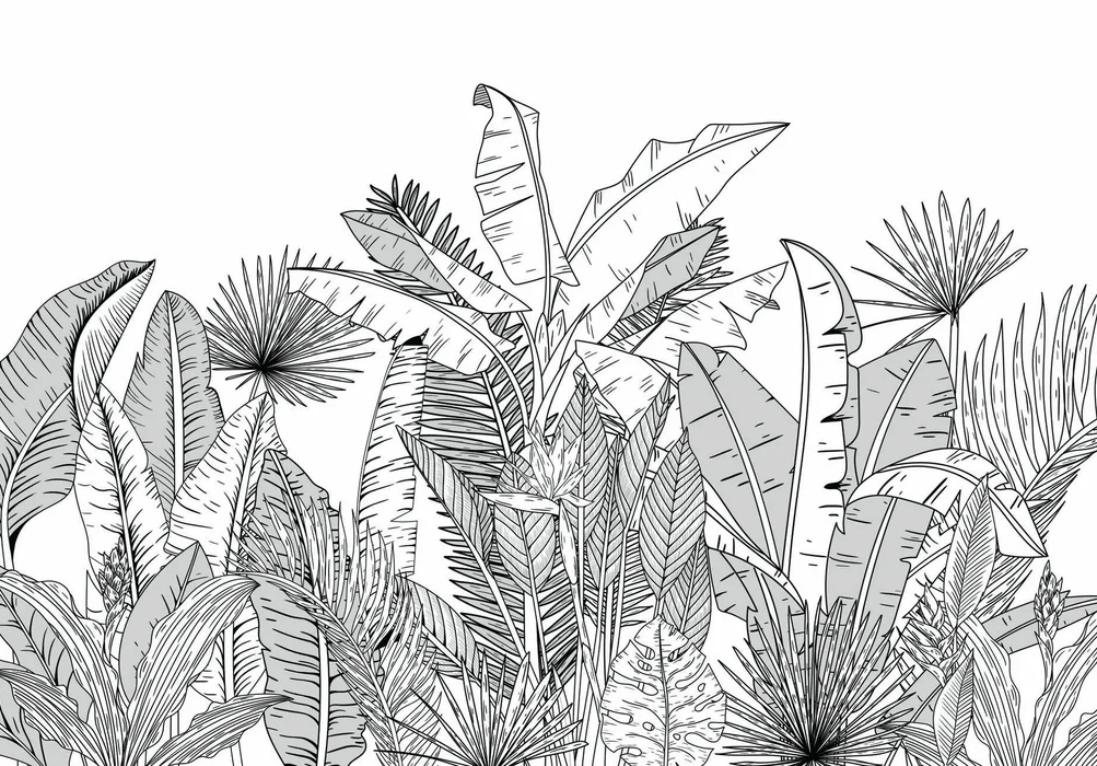 Papier peint salle de bain noir et blanc botanic leaf - Muralconcept