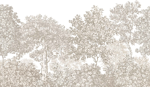 Papier peint paysage forêt gravure beige, XXL, tendance
