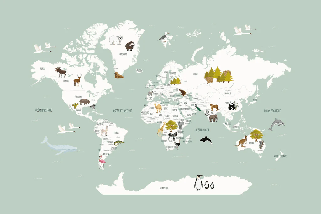 Carta da parati Mappa del mondo in francese per bambini verde