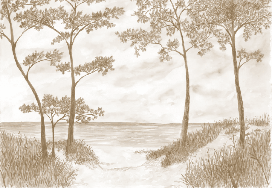 Papier peint Pins maritimes et dunes - Sépia - Muralconcept