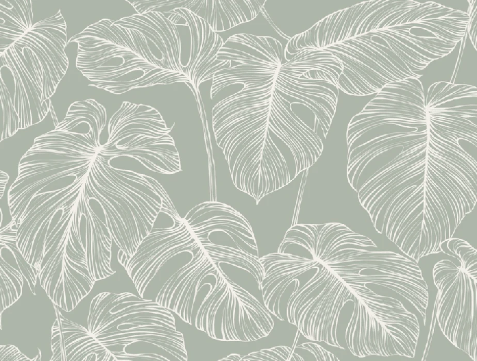 Carta da parati foglia monstera salvia