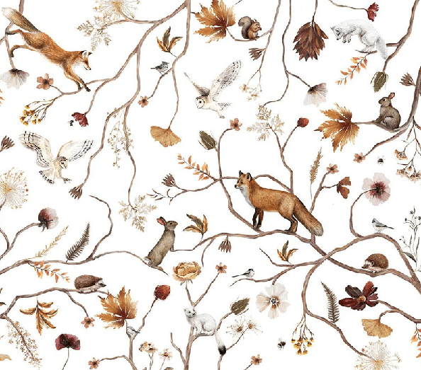 Papier peint enfant forêt aventure - Muralconcept