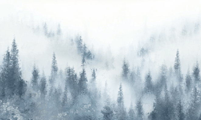 Papier peint restaurant sapin brume bleu aquarelle - Muralconcept