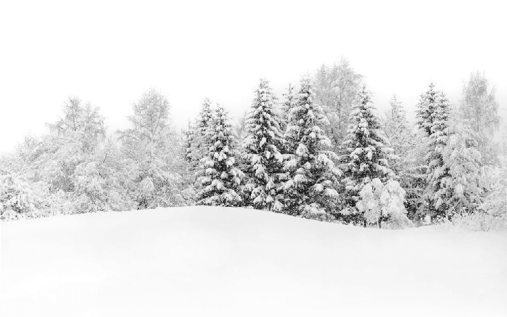 Papier peint panoramique évasion hivernale - Muralconcept