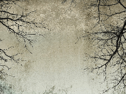 Enchanted forest wallpaper, XXL, tendance