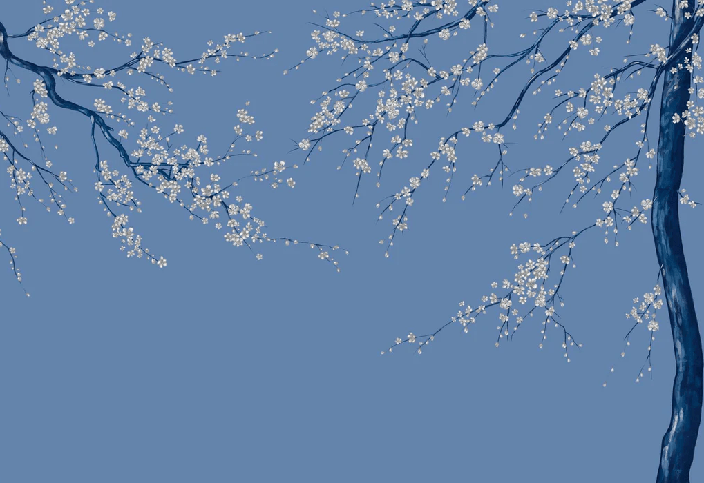 Carta da parati panoramica con fiori blu Sakura