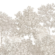 Papier peint paysage forêt gravure beige - Muralconcept